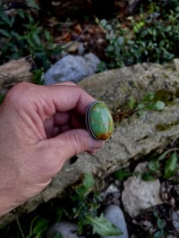 Image 1 of Kingman Turquoise Ring Sterling Silver