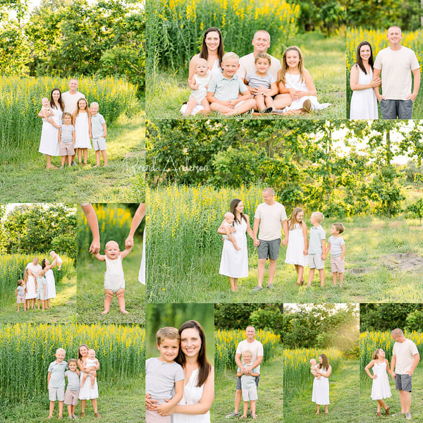 Image of Sunn Hemp Mini Session