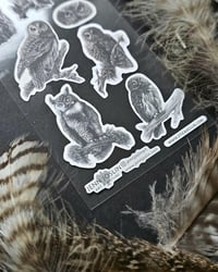 Image 2 of "Woodland Wanderers" Sticker Sheet - Stickii Club Collab
