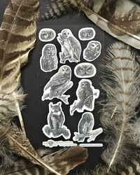 Image 1 of "Woodland Wanderers" Sticker Sheet - Stickii Club Collab