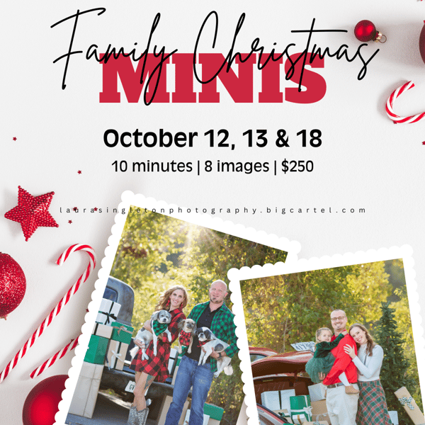 Image of The Family Christmas Mini Sessions