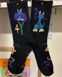 Image 1 of Berry Park 421 socks 