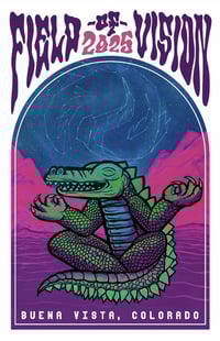 Field of Vision Poster