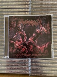 Image 2 of Resplendency - Revenge Through Dismemberment Full Length 