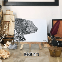 Image 1 of Carte postale – Récif corallien