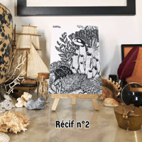 Image 2 of Carte postale – Récif corallien