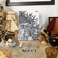 Image 3 of Carte postale – Récif corallien