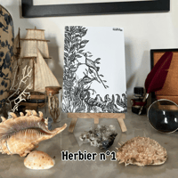Image 1 of Carte postale – Herbier sous-marin