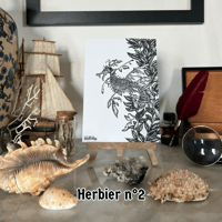 Image 2 of Carte postale – Herbier sous-marin