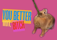 Image 2 of You better work, bitch