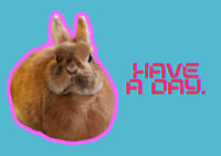 Image 2 of Have a day.