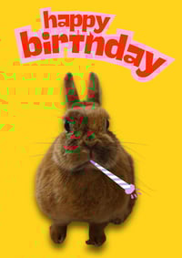 Image 2 of Happy birthday