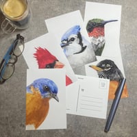 Bird Portraits Postcard Set