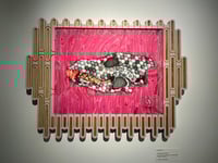 Image 1 of Florida Black Wolf - Original 