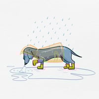 Image 3 of I bassotti odiano la pioggia