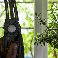 Image 1 of Macrame Hanging Plant Baskets