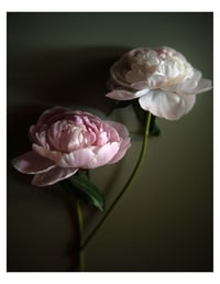 Image 2 of 2026 Still Life Calendar *Pre-Order*