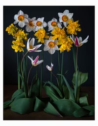 Image 6 of 2026 Still Life Calendar *Pre-Order*