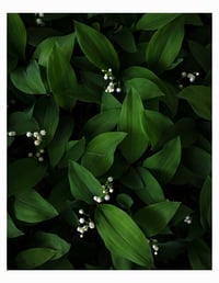 Image 7 of 2026 Still Life Calendar *Pre-Order*