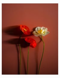 Image 10 of 2026 Still Life Calendar *Pre-Order*
