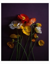 Image 11 of 2026 Still Life Calendar *Pre-Order*