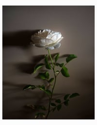 Image 15 of 2026 Still Life Calendar *Pre-Order*