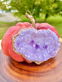 Image 6 of Handmade Geode Pumpkins and Mushrooms
