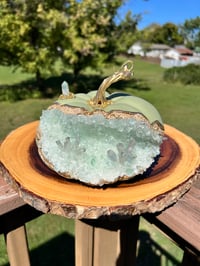 Image 9 of Handmade Geode Pumpkins and Mushrooms