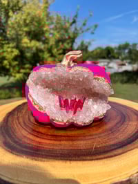 Image 19 of Handmade Geode Pumpkins and Mushrooms