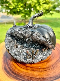 Image 14 of Handmade Geode Pumpkins and Mushrooms