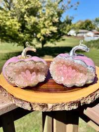 Image 10 of Handmade Geode Pumpkins and Mushrooms