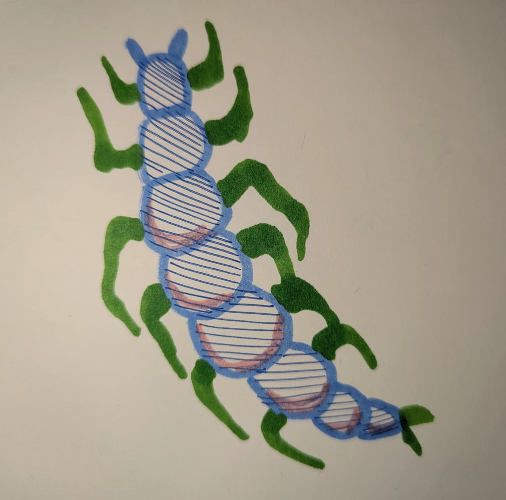 Image of CUSTOM Centipede Plush