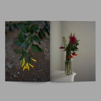 Image 3 of no place like you