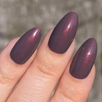 Image 3 of The Jackal 