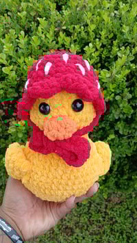 Image 1 of Spring Ducks