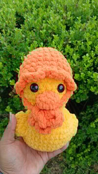 Image 3 of Spring Ducks