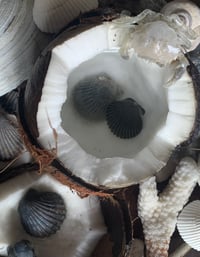 Image 2 of Cancer Perfume (Tuberose, Coconut Milk, Sandalwood, Violet)