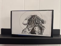 Predator (Theodora Capat)