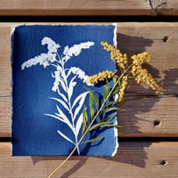 Image 5 of Cyanotype Printing Kit