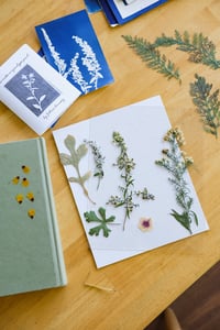 Image 4 of Cyanotype Printing Kit