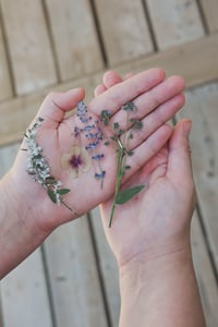 Image 3 of Cyanotype Printing Kit