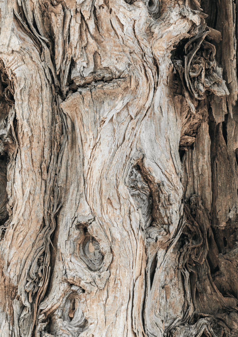 Image of Black Sandalwood Signature Room Spray