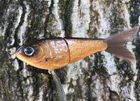 Image 2 of SPEEDBAITS Custom Airbrushed Glide Bait 6689