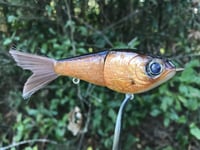 Image 6 of SPEEDBAITS Custom Airbrushed Glide Bait 6689