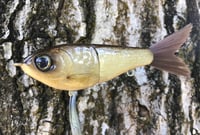 Image 2 of  SPEEDBAITS Custom Airbrushed Glide Bait 9500
