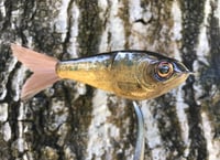 Image 2 of SPEEDBAITS Custom Airbrushed Glide Bait 1371