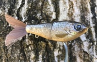 Image 2 of SPEEDBAITS Custom Airbrushed Glide Bait 3493