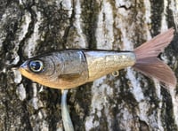 Image 6 of SPEEDBAITS Custom Airbrushed Glide Bait 3493