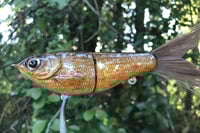 Image 2 of SPEEDBAITS Custom Airbrushed Glide Bait 4749