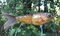 Image 3 of SPEEDBAITS Custom Airbrushed Glide Bait 4749